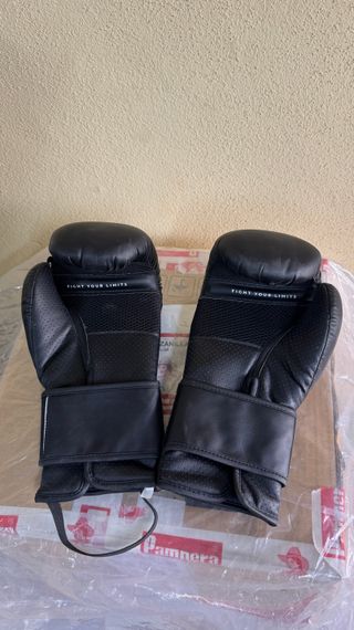 Saco de boxeo y guantes