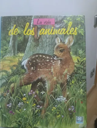 Libros infantiles