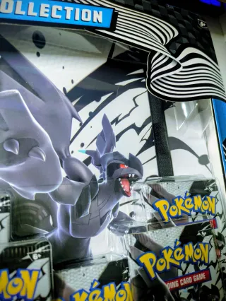 Álbum Pokémon Scarlet & Violet Black Bolt