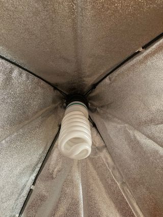 Softbox para fotografía con bombilla