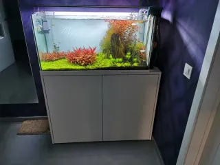 Acuario 200L
