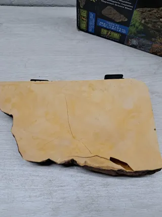 Exo Terra Isla Tortuga Magnética Mediana