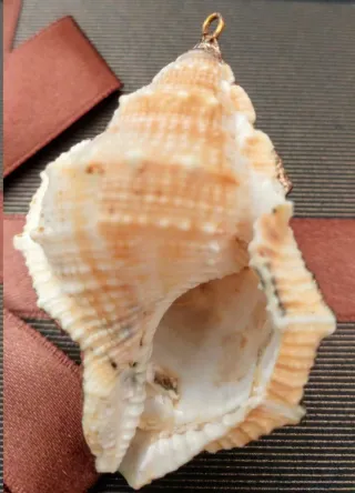 Set 2 ciondoli fiore e conchiglia