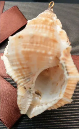 Set 2 ciondoli fiore e conchiglia