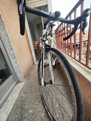 Bicicleta Scott Speedster 20 Talla S