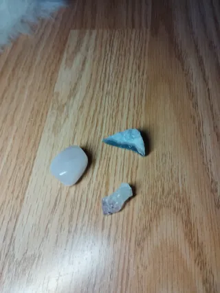 Minerales variados y fósil