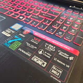 MSI GTX 1060 6GB | 32GB RAM | SSD+HDD | W11