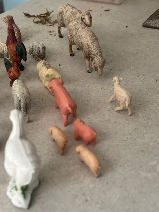 Conjunto animales Belén