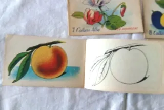 Lotto di 6 album per bambini della collana Alba