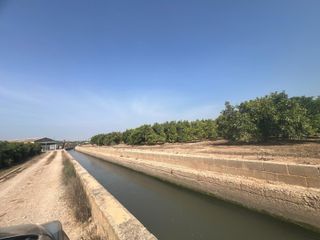 TERRENO CULTIVADO CON NARANJOS-VALENCIA.Ref 04804