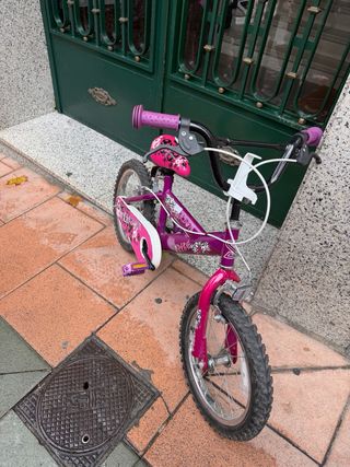Bicicleta infantil morada