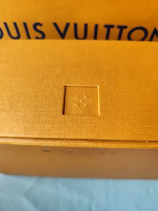 Bolsa y Caja Louis Vuitton