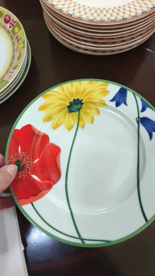 Lote 10 Piatti Piatti in Porcellana Tognana Fiori