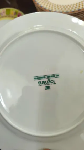 Lote 10 Piatti Piatti in Porcellana Tognana Fiori