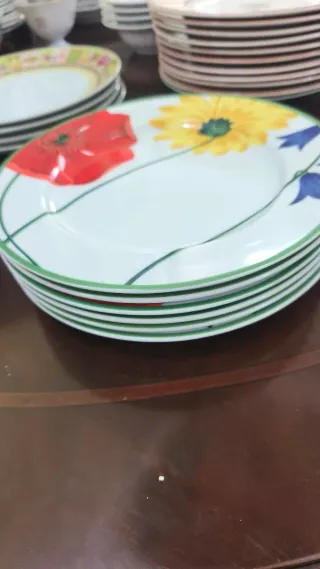 Lote 10 Piatti Piatti in Porcellana Tognana Fiori