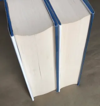 NOVELA HERMANOS KARAMÁZOV CRIMEN Y CASTIGO