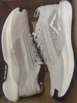 Nike Pegasus Trail Gore-Tex Talla 43