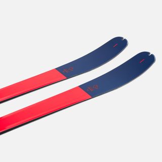 Esquís de Travesía + Fijaciones Tyrolia Ambition + Pieles