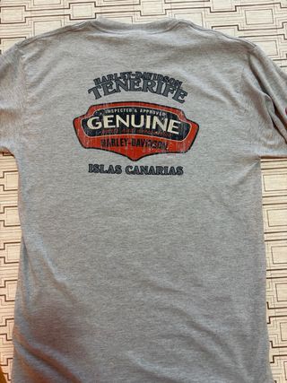 Camiseta Harley-Davidson Gris Manga larga