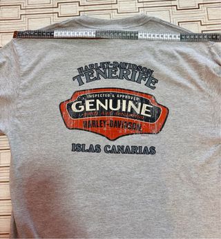 Camiseta Harley-Davidson Gris Manga larga