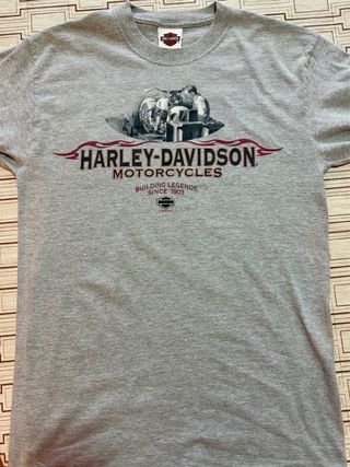 Camiseta Harley-Davidson Gris Manga larga