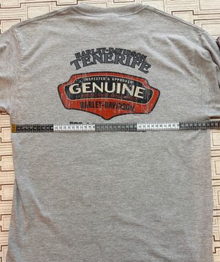 Camiseta Harley-Davidson Gris Manga larga