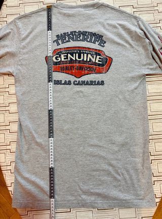 Camiseta Harley-Davidson Gris Manga larga