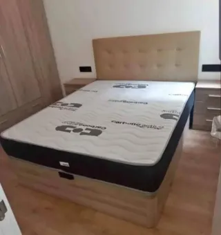 LIQUIDACIÓN CANAPÉ y COLCHÓN