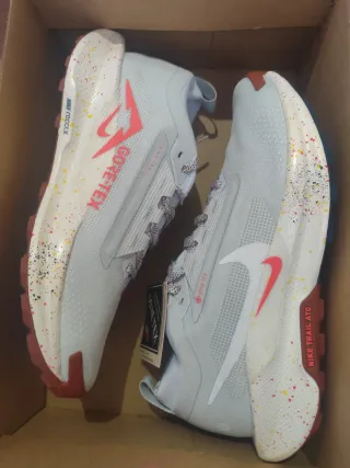 Nike Pegasus Trail 5 Gore-Tex Talla 42