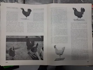 Revista Ganaderia años 40