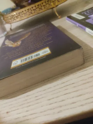 Libro Harry Potter y la piedra filosofal en ingles