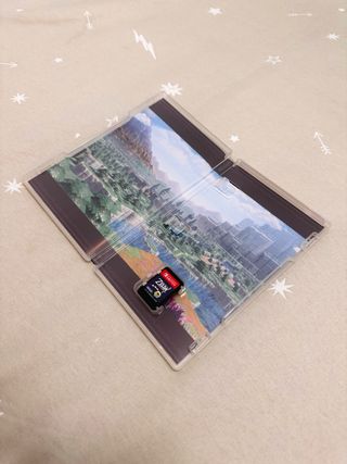 Zelda: Echoes of Wisdom Nintendo Switch