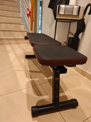 Banco de pesas y abdominales reclinable