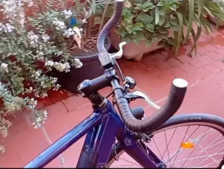 Bicicleta Eléctrica NCM C5 Azul talla L