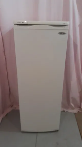 Congelador Vertical