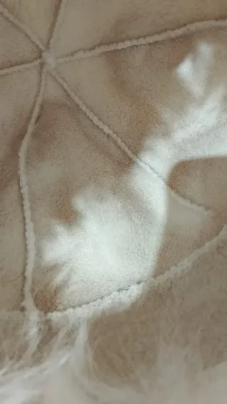 Sombrero invernale bianco da donna