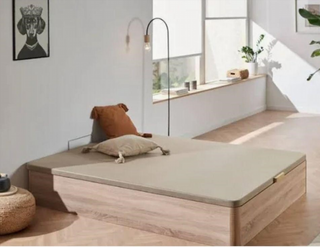 Canapés y colchones nuevos todas medidas