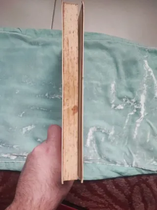 LES OISEAUX DU MONDE ENLIER