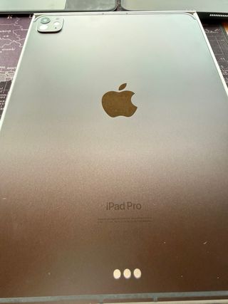 iPad Pro M4 11 256GB Wifi + Celular.
