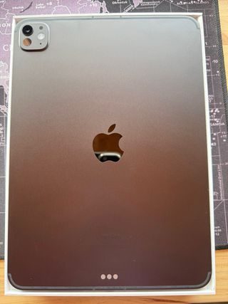 iPad Pro M4 11 256GB Wifi + Celular.