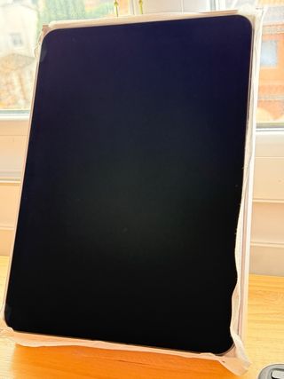 iPad Pro M4 11 256GB Wifi + Celular.