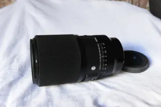 Objetivo Sigma 105mm f/2.8 DG DN Macro para Sony