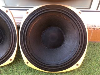 Altavoces Tannoy 3169G (Pareja)