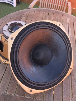 Altavoces Tannoy 3169G (Pareja)