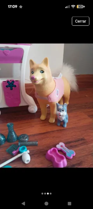 Nancy veterinaria con accesorios