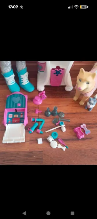 Nancy veterinaria con accesorios