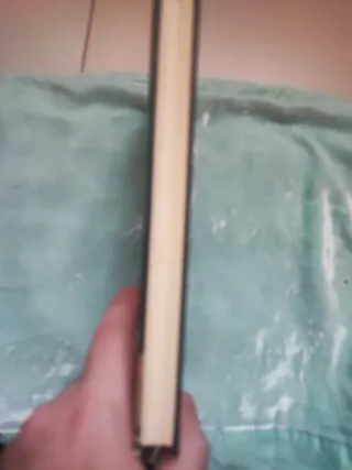 EL ASOMBROSO VIAJE DE POMPONIO FLATO