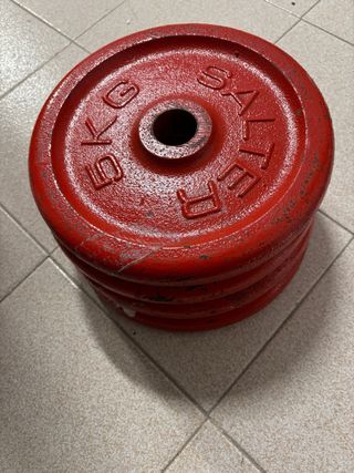 4 Discos de Pesas Salter 5kg