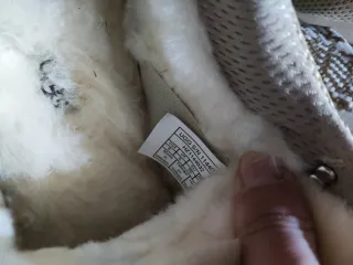 Zapatillas UGG Beige Talla 39