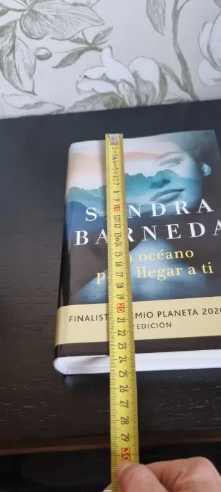 Un océano para llegar a ti: Finalista Premio Pl...